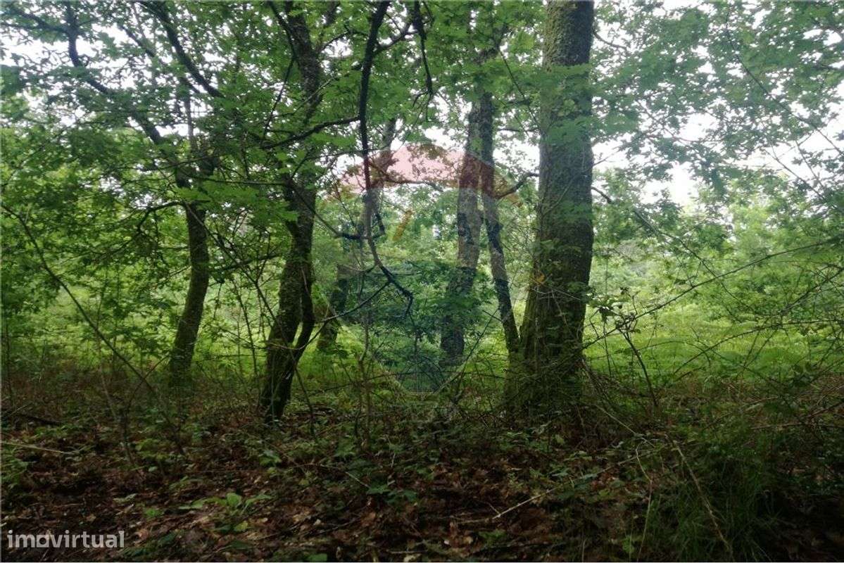 Terreno  para venda - Grande imagem: 3/44