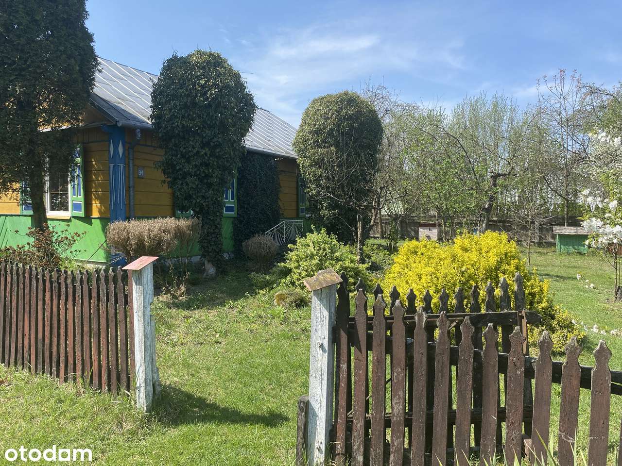 Siedlisko z potencjałem - Pełny obrazek: 4/6