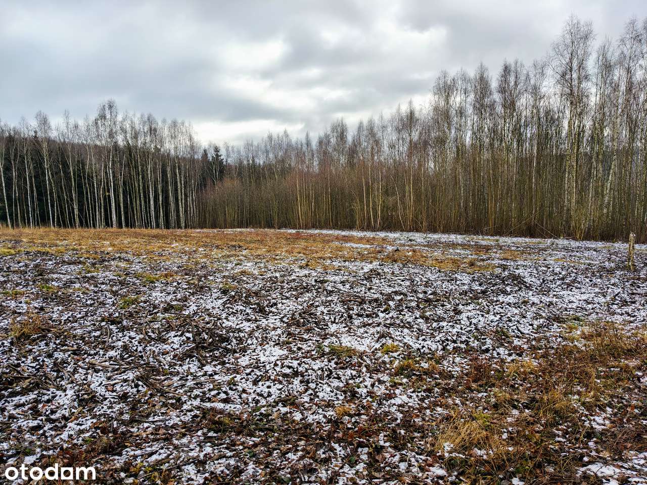 działka w lesie|MPZP| zabudowa jednorodzinna| dobry dojazd z WRO| góry-3