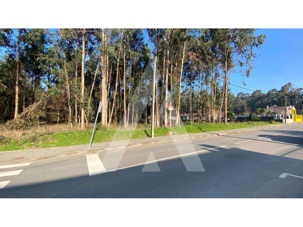 Terreno com viabilidade para construção de moradias - São João de O... - Grande imagem: 4/5