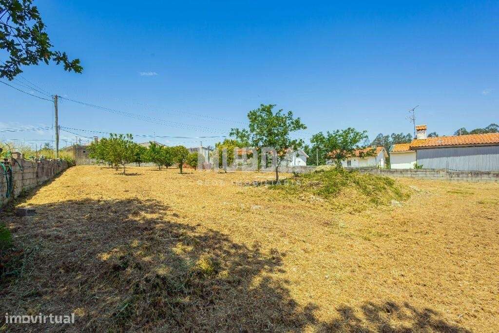 Oportunidade em Azurva – Moradia Isolada com Grande Terreno!-35