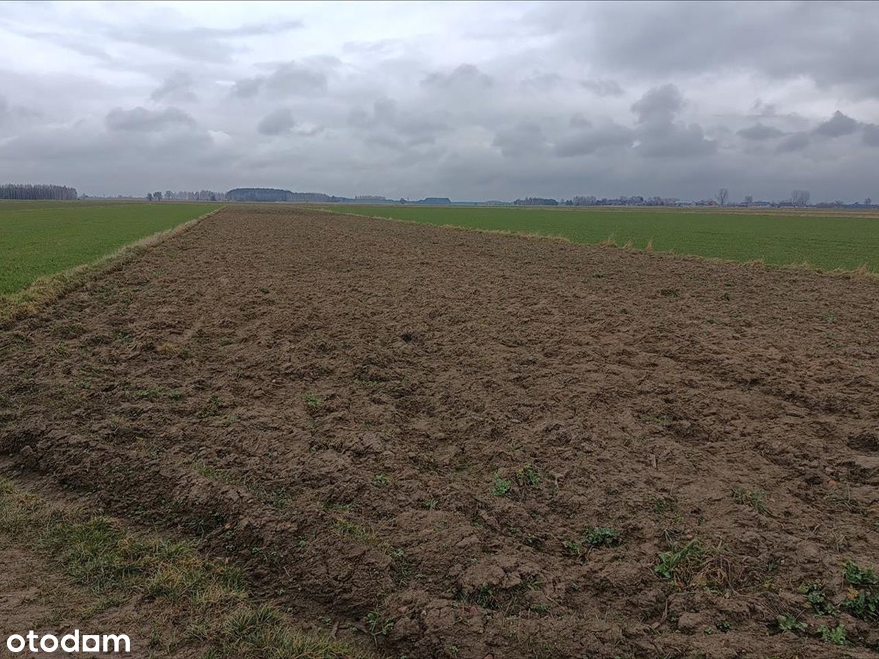 Działka rolna w miejscowości Buków gmina Ujazd .