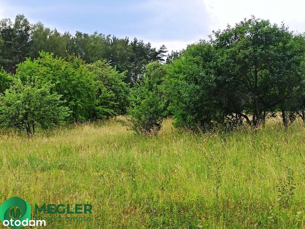 Działka niedaleko lasu-2