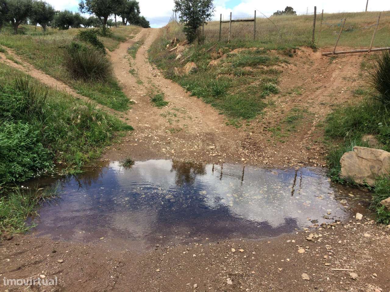Herdade para Reconstrução em Azenha de Baixo 40 Hectares - Grande imagem: 4/12