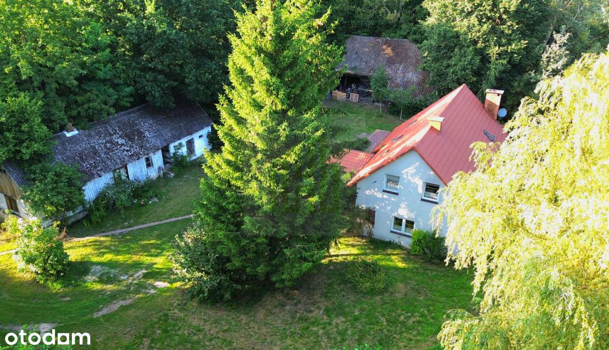 Siedlisko 30 min. od Warszawy,działka 33 000m2-11