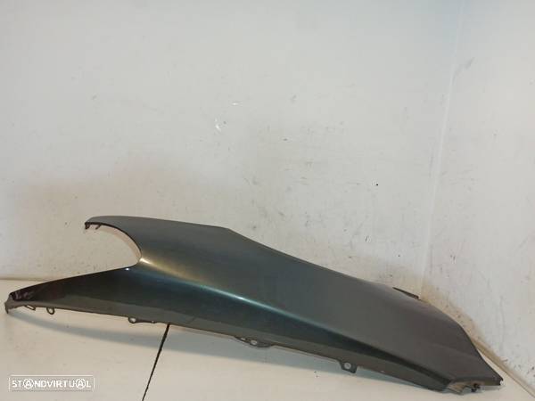 Guarda Lamas Direito Peugeot 607 (9D, 9U) - 3