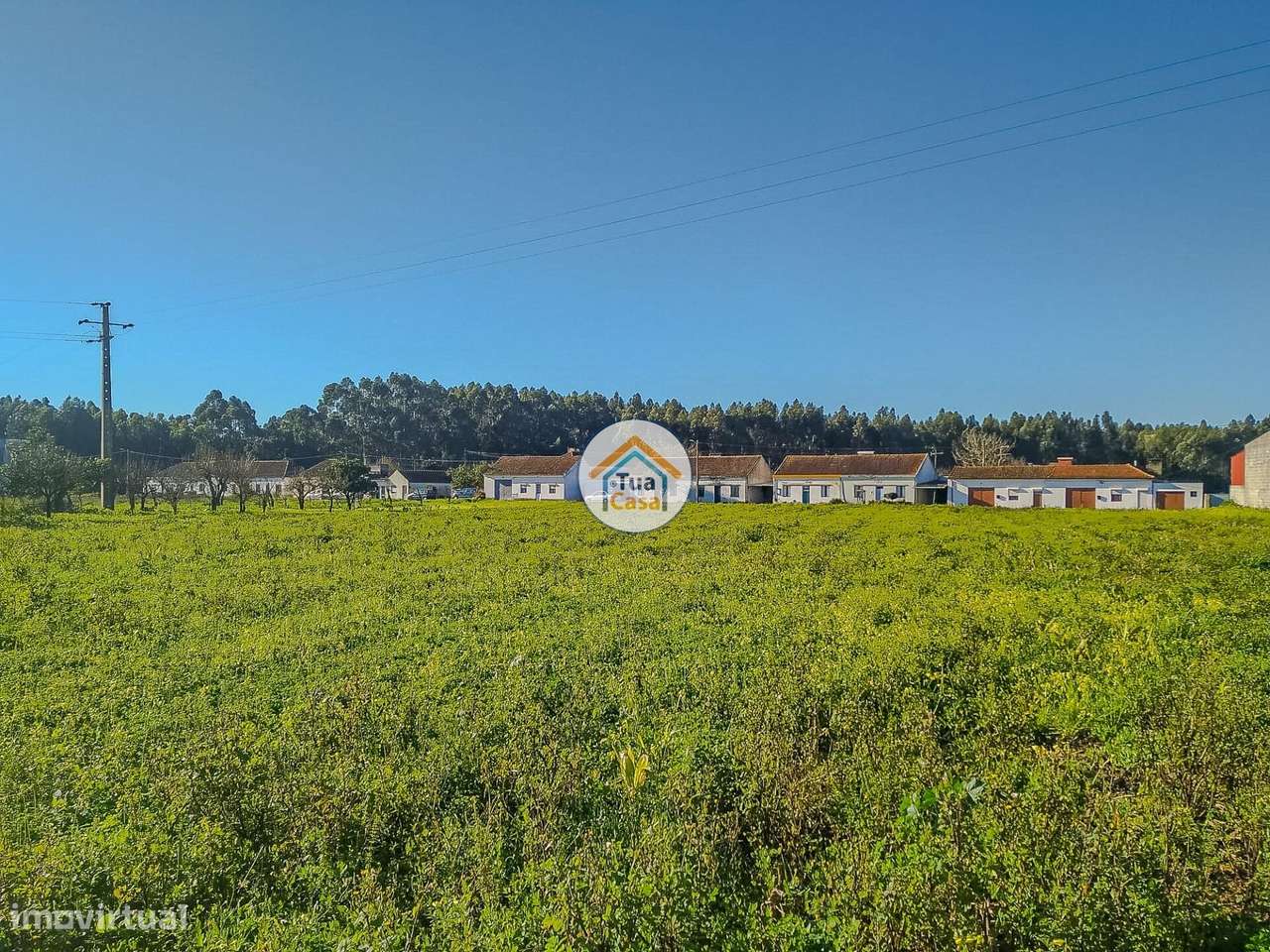 Terreno Urbano em Ervosas, Ílhavo - Grande imagem: 2/15