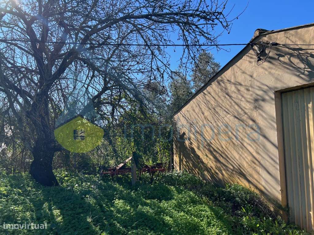TERRENO EM CERRO DO OURO COM UMA PARCELA URBANA-20