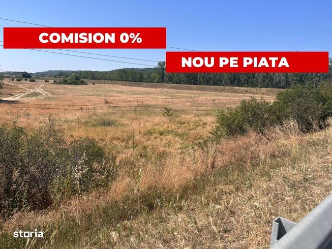 Teren agricol cu potential – 24.834 mp, zona Podul Jiului-0