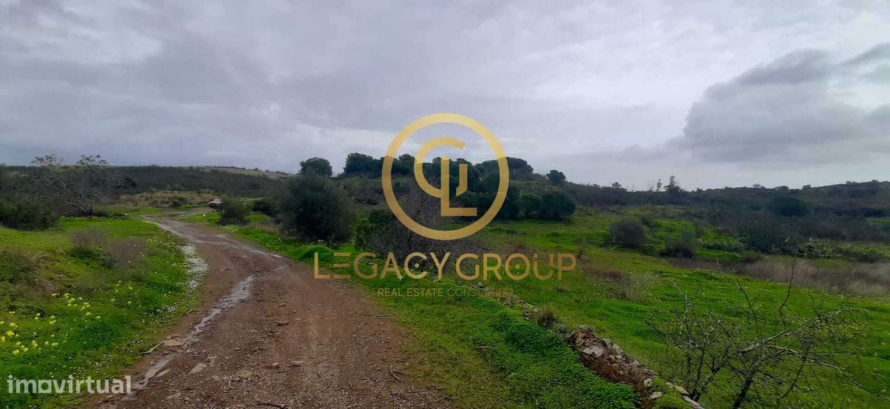 Terreno rústico com 2,11 hectares em Azinhal - Grande imagem: 5/9