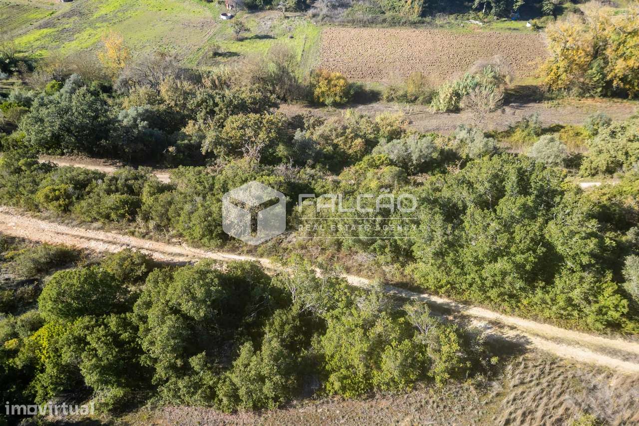 Terreno Para Construção  Venda em Moçarria,Santarém-11