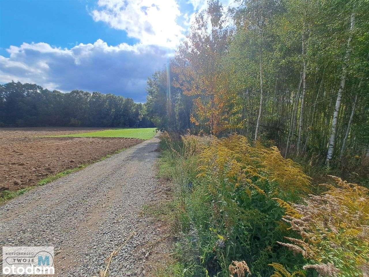 Nowa niższa cena! Działka w otoczeniu lasu! - Pełny obrazek: 3/8