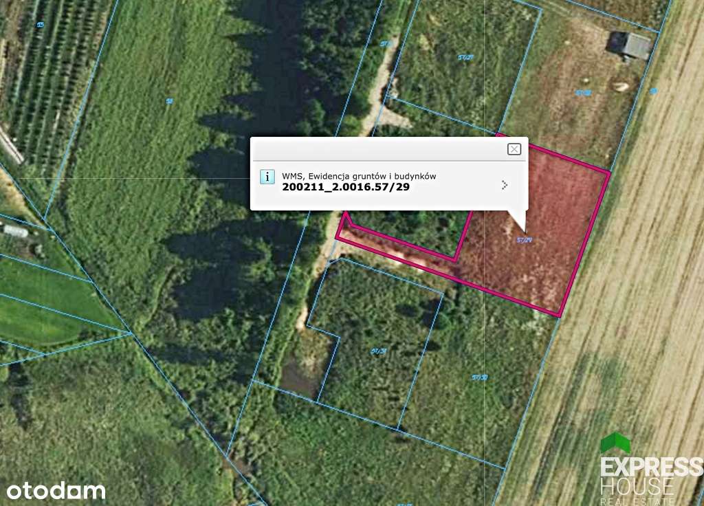 Działka pod budowę domu 1800m2 Iwanówka/podlaskie - Pełny obrazek: 5/8