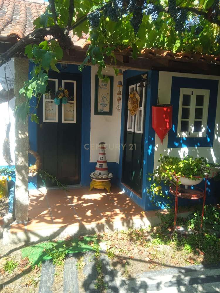 Quintinha - São Tomé de Covelas, Baião-7