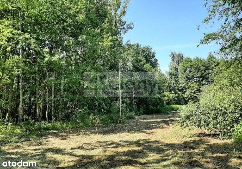 Kształtna Działka W Otulinie Leśnej, Blisko Stacja - Pełny obrazek: 5/5
