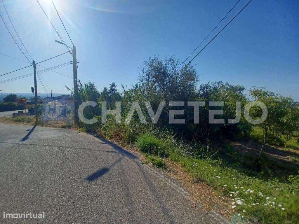 Terreno com 1440 m2 a 4 minutos de Tomar. - Grande imagem: 3/11