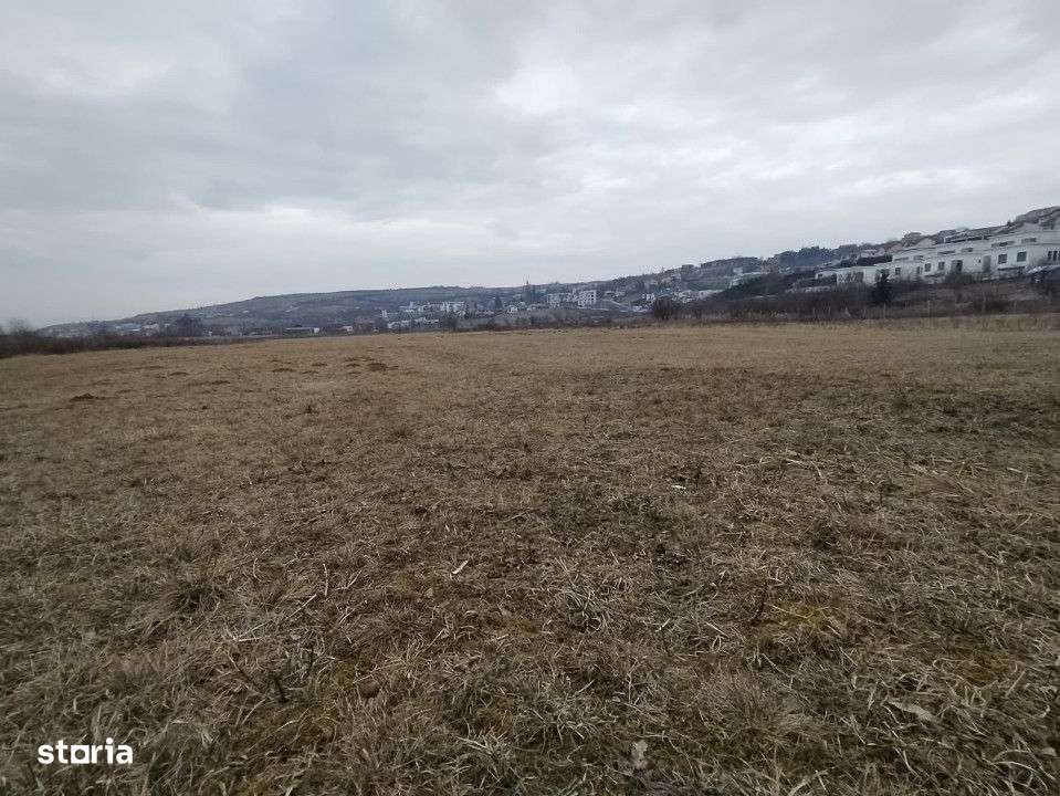 Teren Intravilan de vanzare, 4300mp, front 25 ml, Borhanci - Imagine principală: 4/6