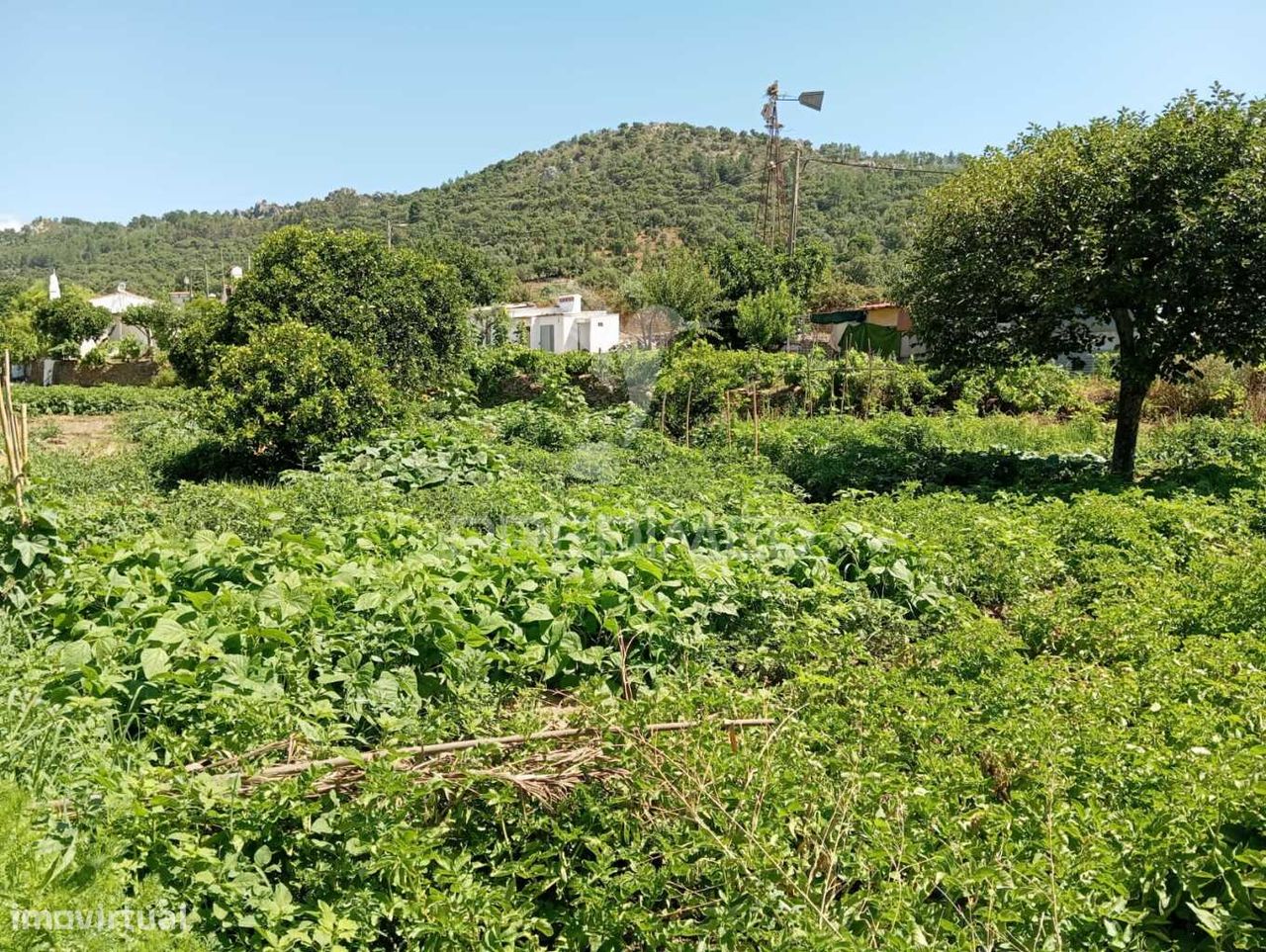 QUINTA PORTO DA BOUGA - Grande imagem: 14/14