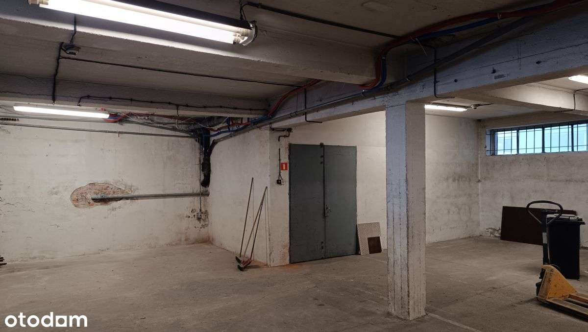 Chylonia 255m2 magazyn/pom. prod. (c.o. w cenie) - Pełny obrazek: 4/10