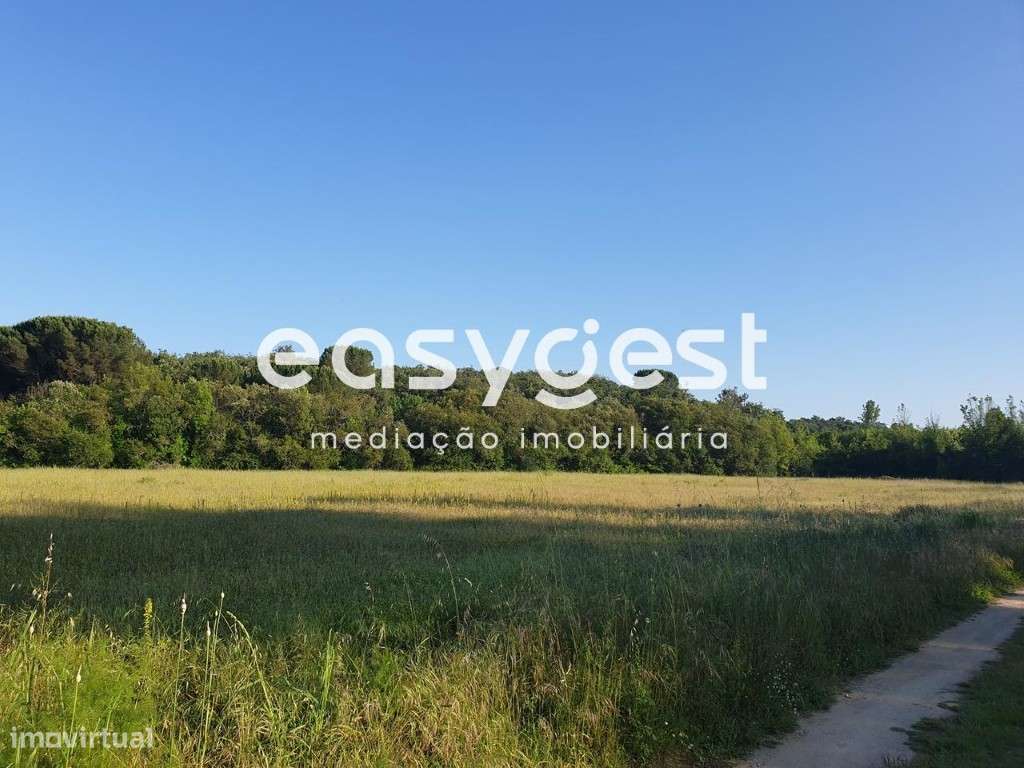 Terreno em Soure - Grande imagem: 3/3