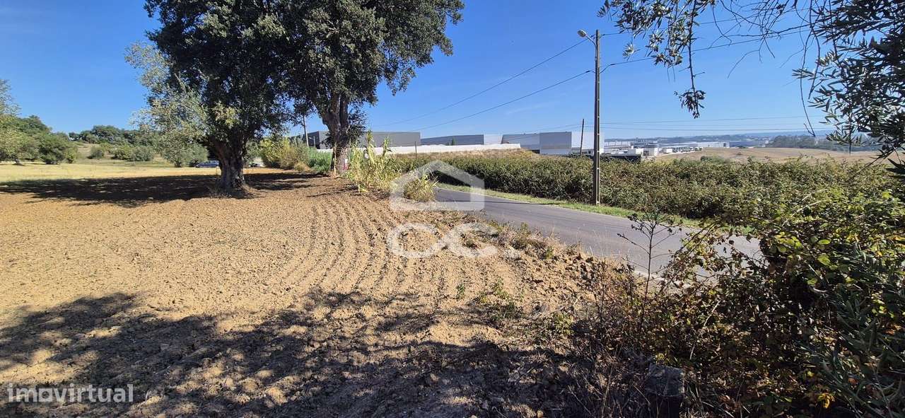 Terreno Rústico com 25.240 m² em Ferras, Gavata, Torres Novas – RAN-20