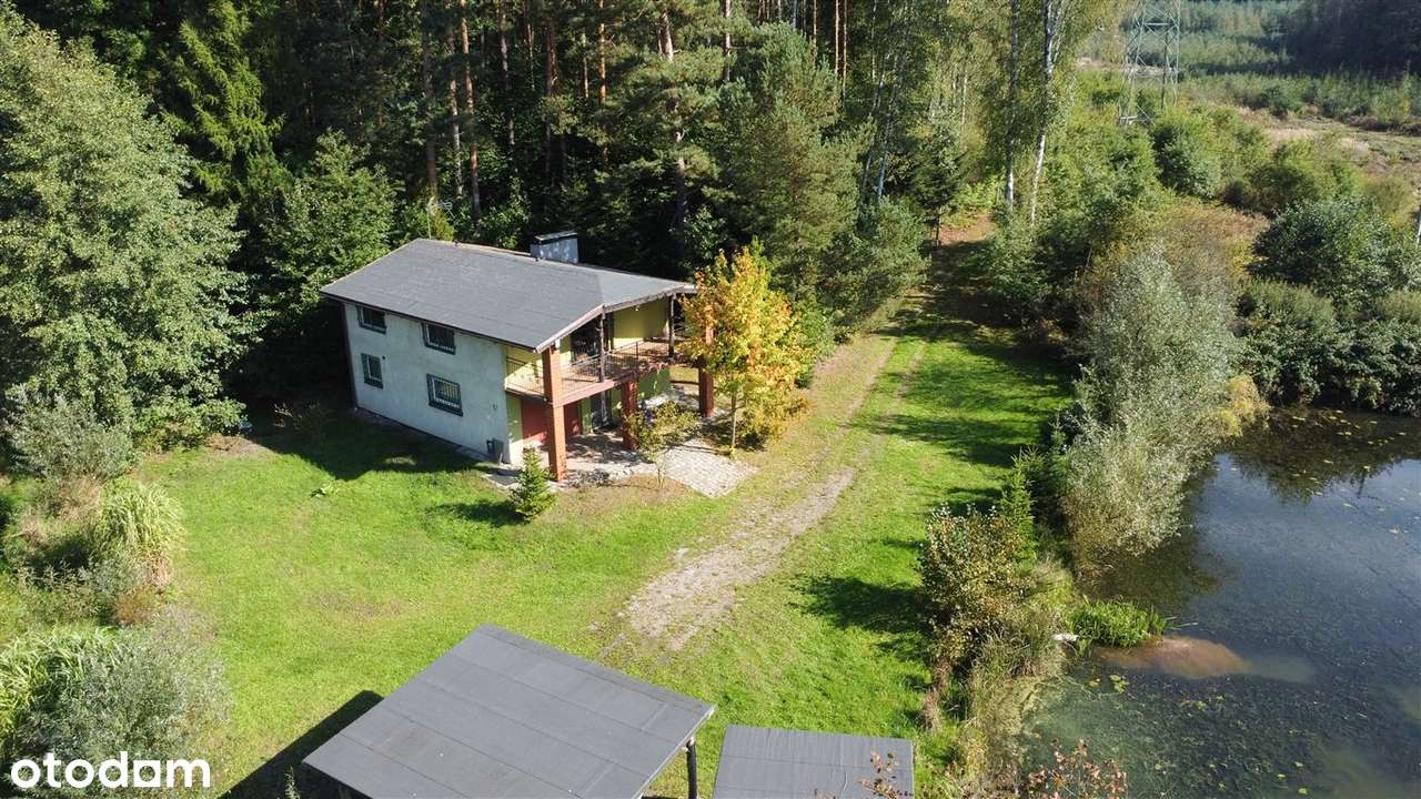 Posiadłość Przegędza - Staw, Las-14