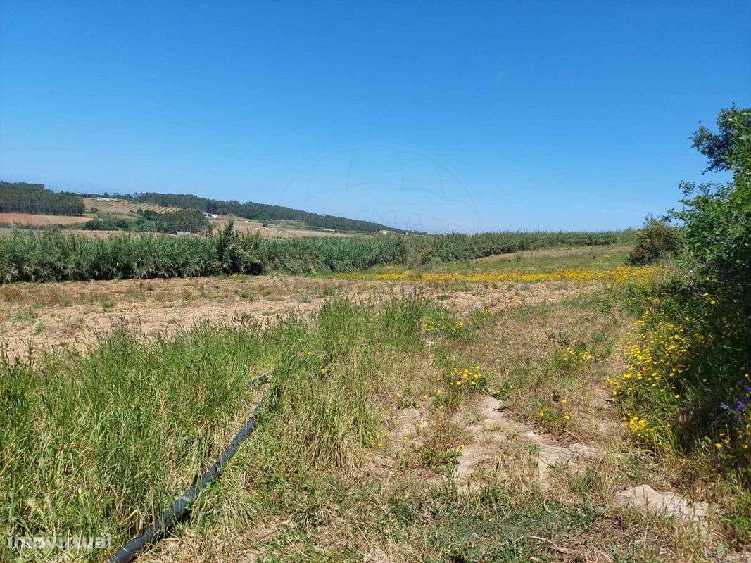 Terreno  para venda - Grande imagem: 4/10