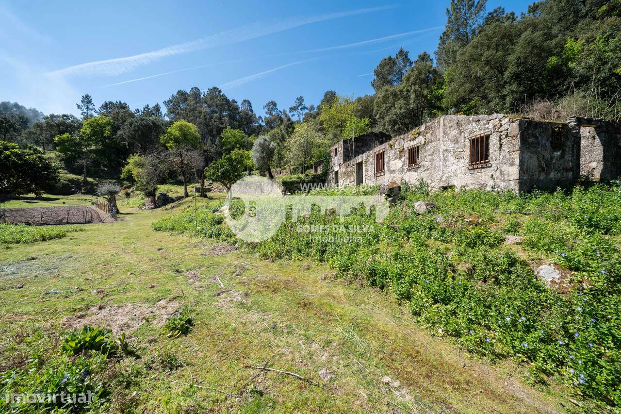 Ruína p/ restauro com 4.800m2 de terreno-13