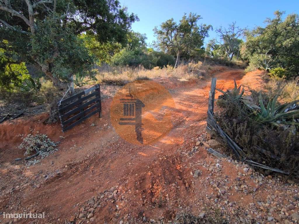 TERRENO COM 1.320 M2 - A POUCOS MINUTOS DA PRAIA - AZEDA - SÃO BART... - Grande imagem: 4/29