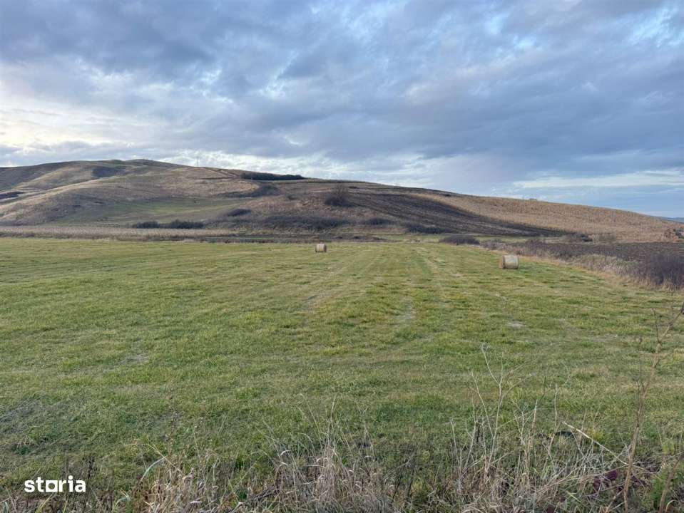 Teren Extravilan I 6000 Mp I Acces la drum | Cojocna-1