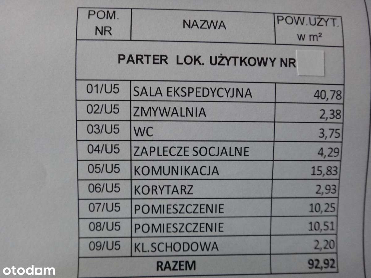 Lokal na wynajem Stare Miasto - Pełny obrazek: 5/13