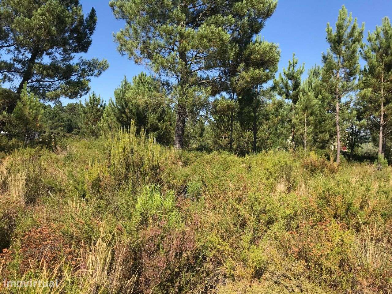 Lote na urbanização Jardins S. Miguel á venda-5