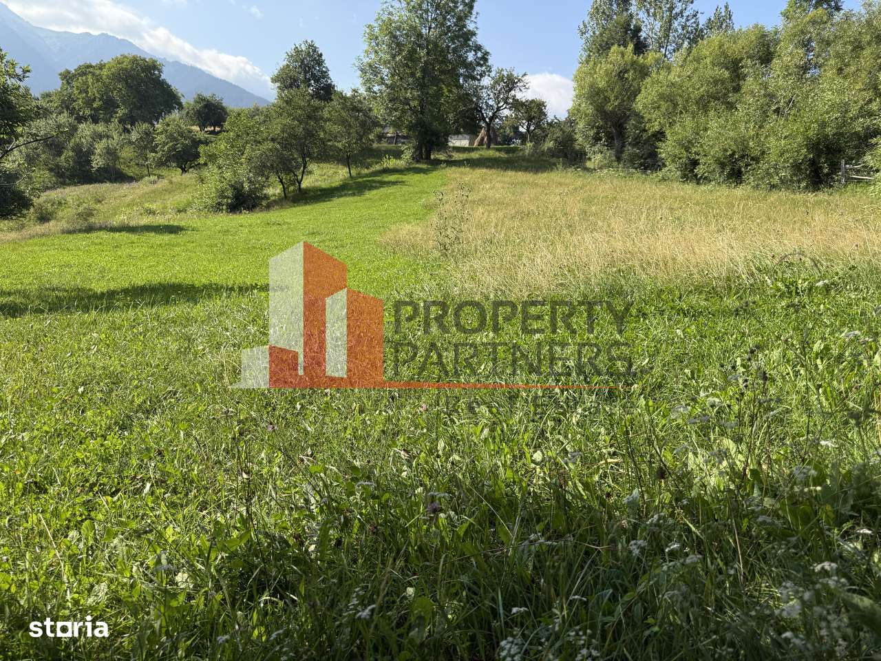 Teren Sohodol 5000 mp - Imagine principală: 5/8