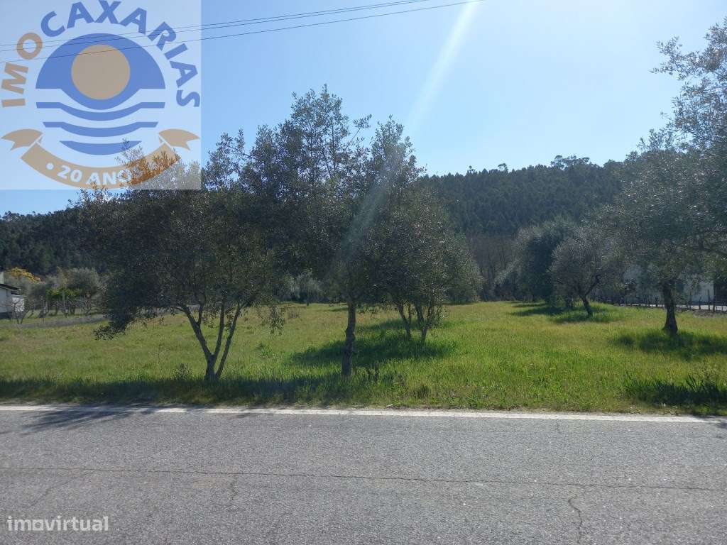 Terreno - Grande imagem: 4/8