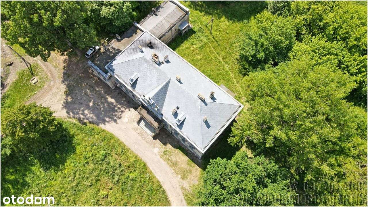 pałac w Niegolewie z parkiem 17 ha w tym rola 6 ha-8