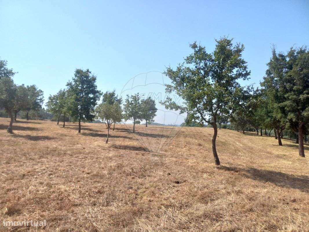 Terreno  para venda - Grande imagem: 4/13