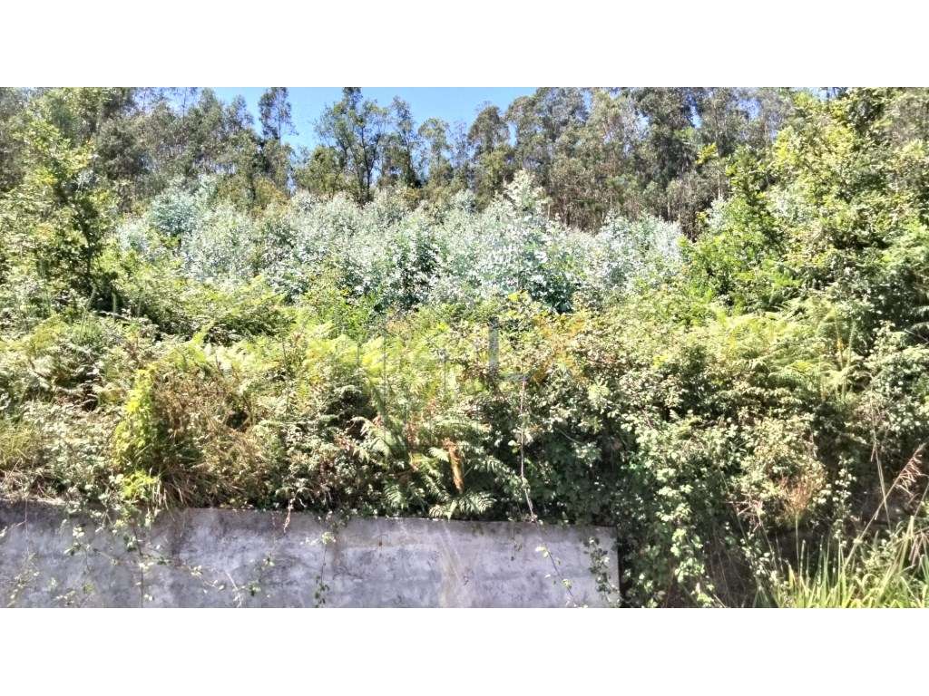 Terreno rústico com potencial para urbano á venda em Sever do Vouga!!! - Grande imagem: 4/14