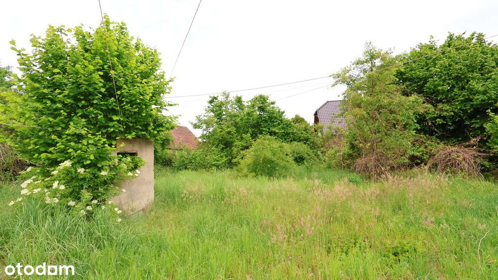 Dom na sprzedaż - 11 ar działki - Pełny obrazek: 5/8