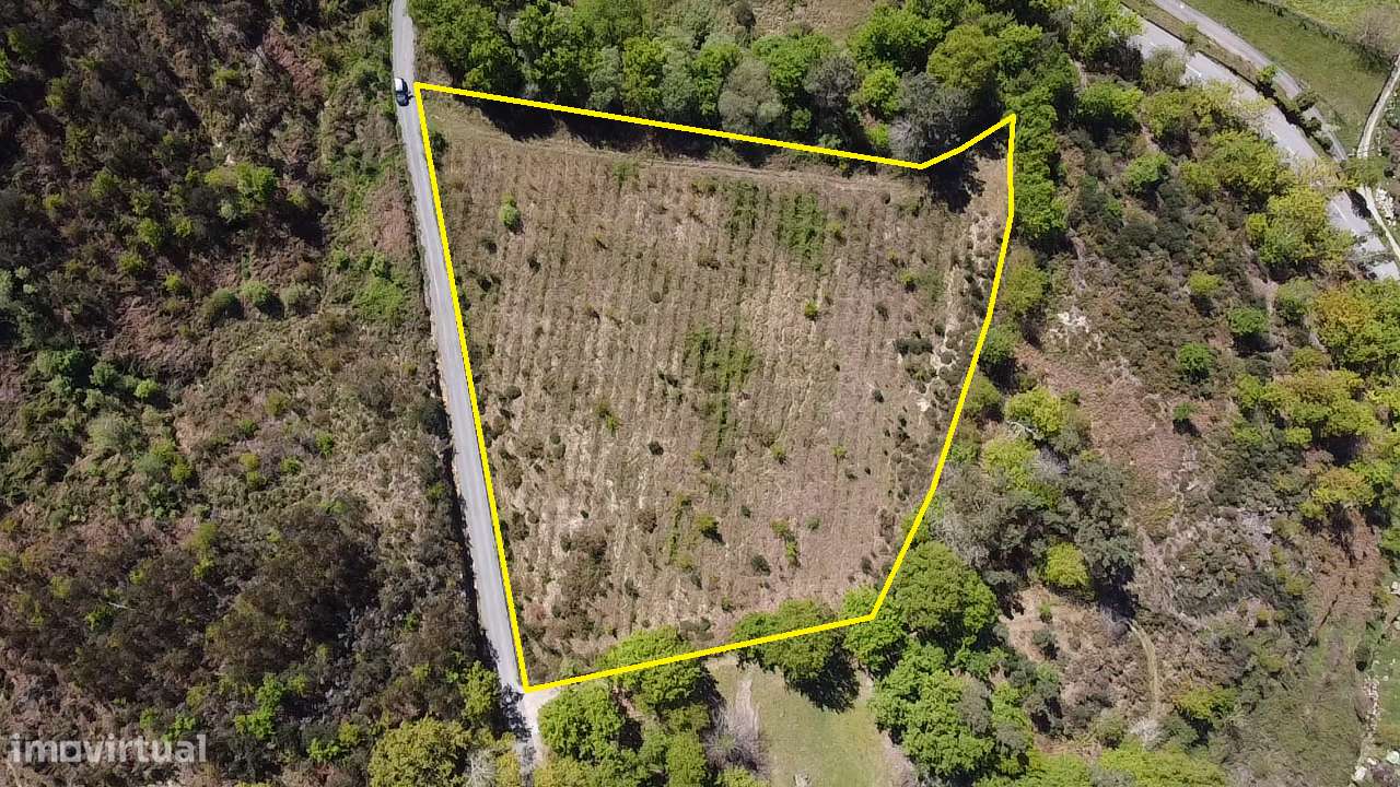 Terreno – Vouzela-18