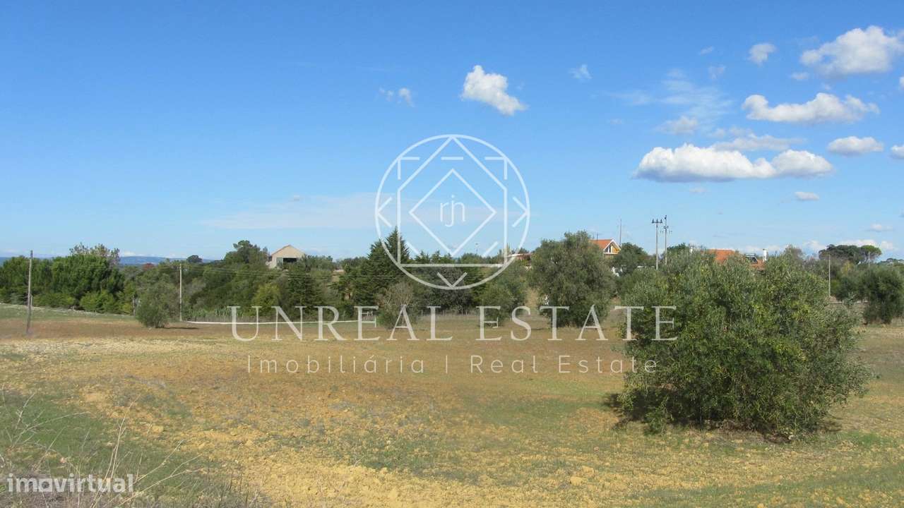 Terreno Rústico  Venda em Azoia de Cima e Tremês,Santarém - Grande imagem: 4/18
