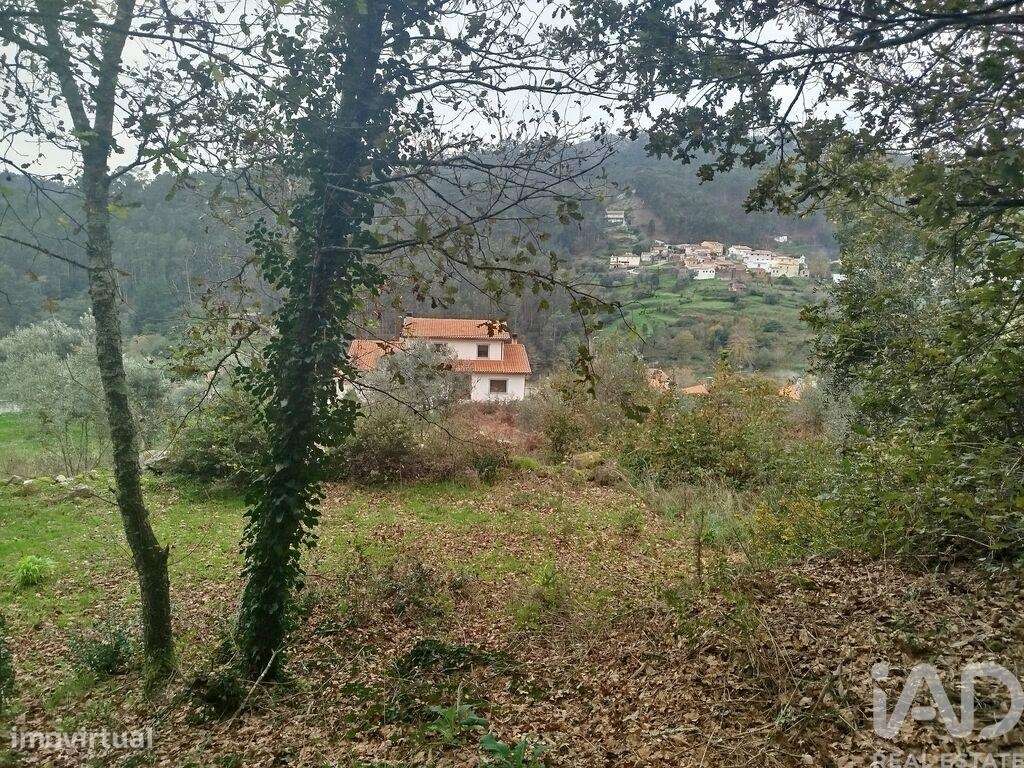 Terreno em Penacova de 885,00 m2 - Grande imagem: 5/8