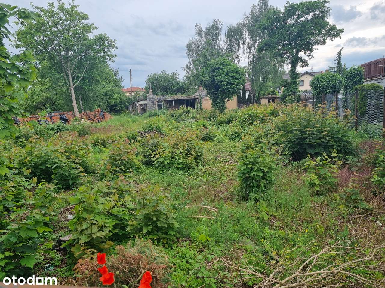 Przeźmierowo ul. Lipcowa Działka bud. 1200m2-1