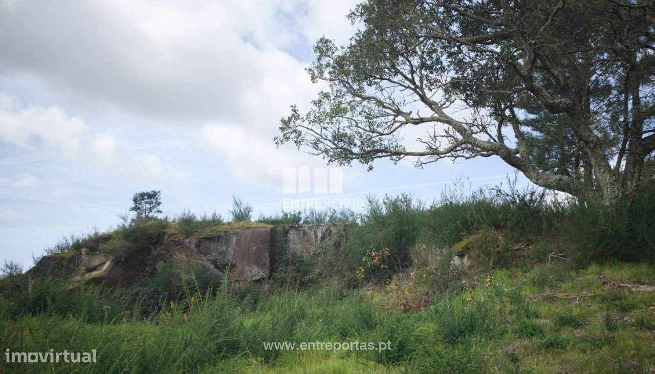 Venda de Terreno de construção, Serreleis, Viana do Castelo - Grande imagem: 2/25