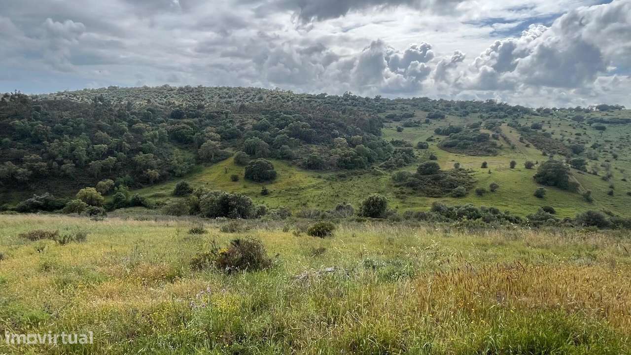 Onde o Silêncio da Natureza se Encontra com a Conveniência do Algarve - Grande imagem: 5/23