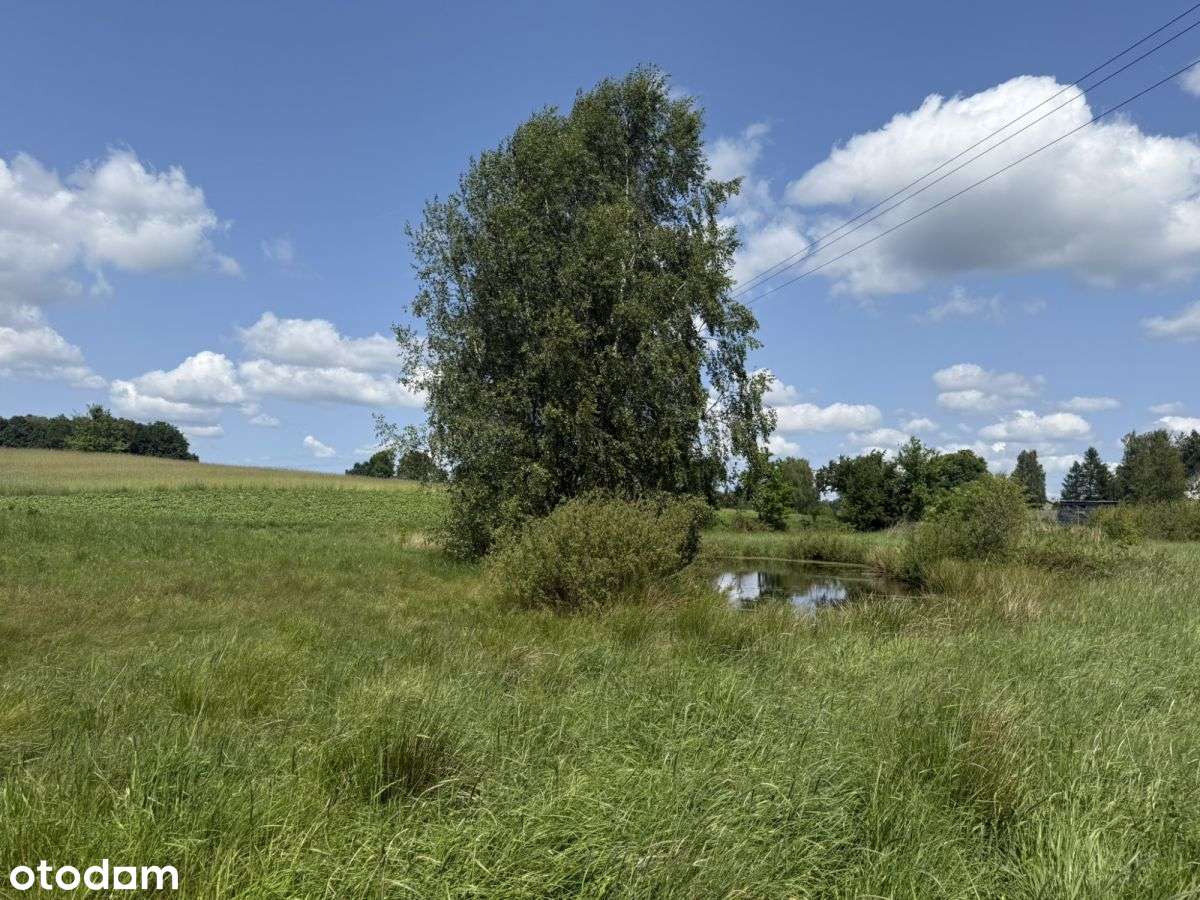 2 działki w świetnej cenie!! Blisko jeziora !-7