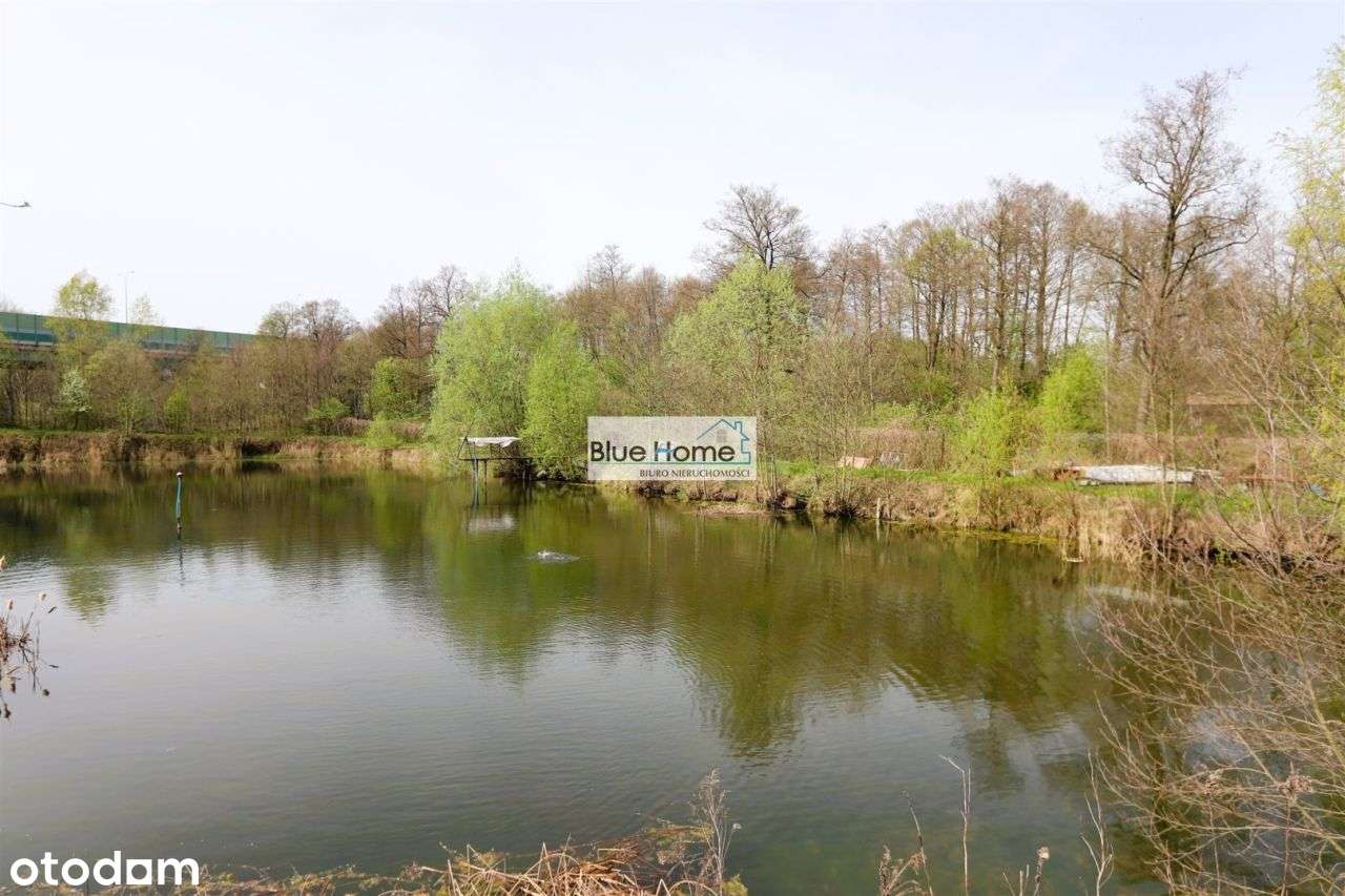 Działka z dwoma stawami w Lubiczu Dolnym 1.45ha - Pełny obrazek: 4/7
