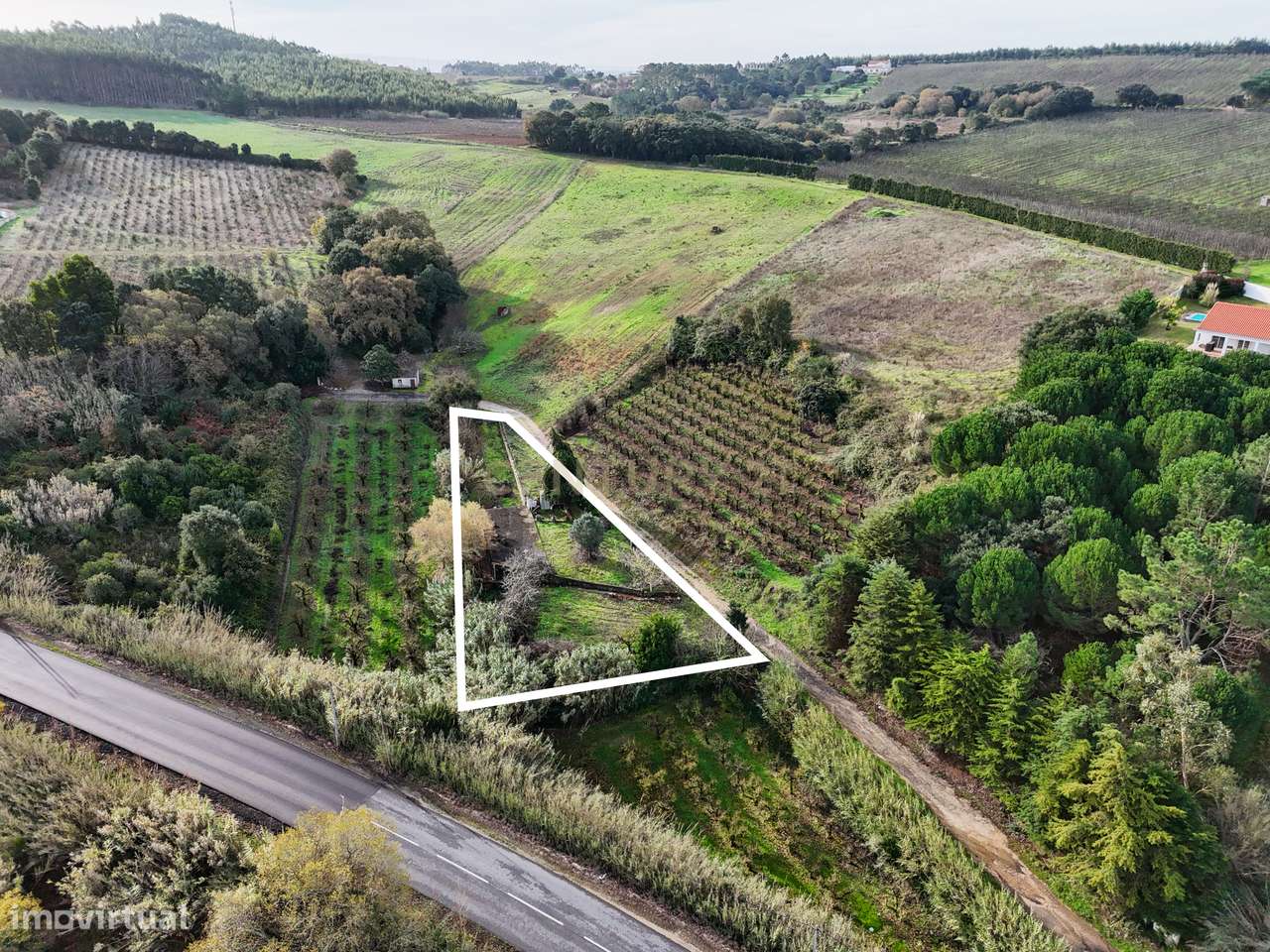 Terreno com cerca de 1520 m², na freguesia da Vermelha,  concelho do C - Grande imagem: 3/28