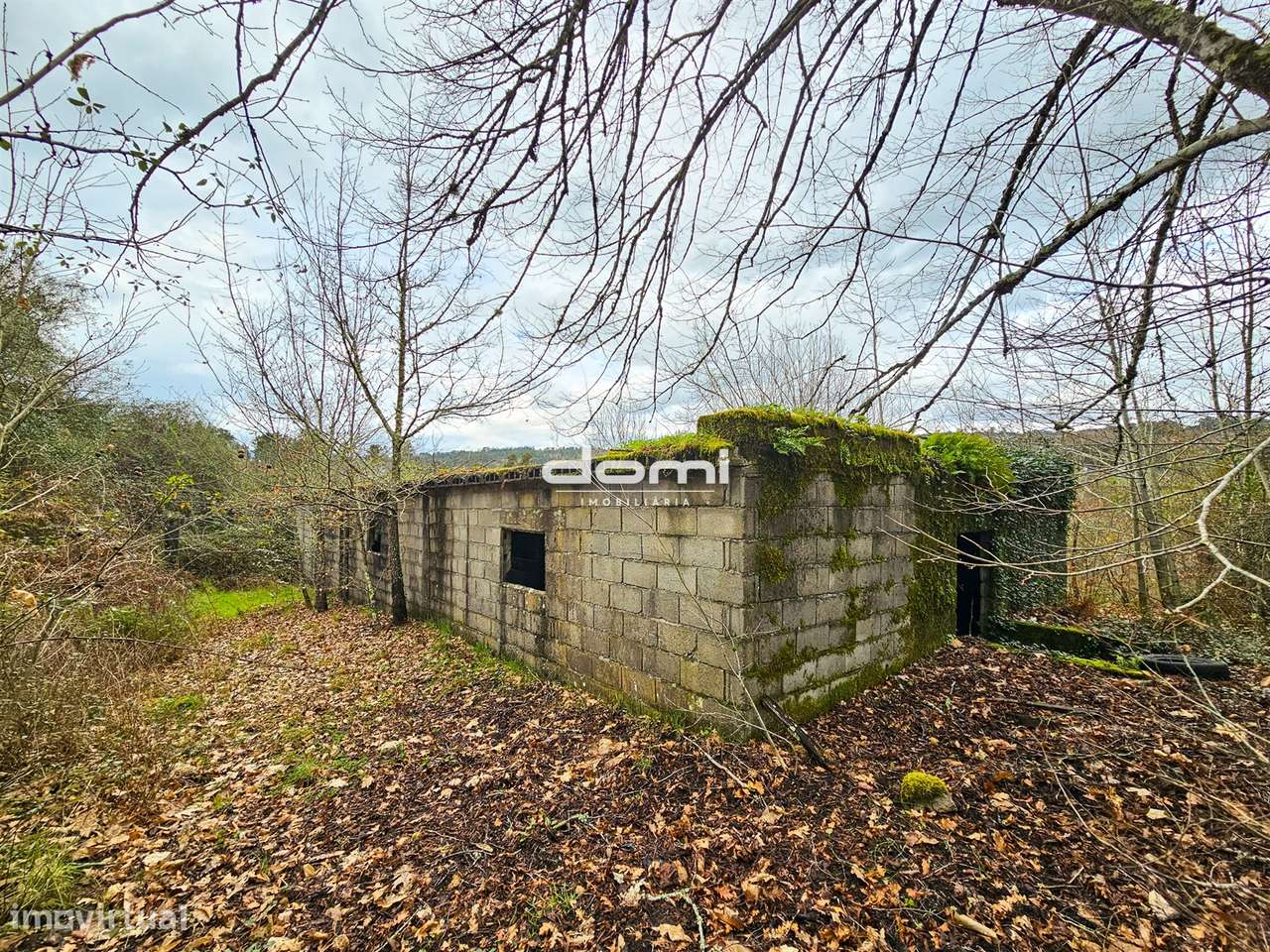 Terreno com grande potencial em Moçamedes , Vouzela - Grande imagem: 5/21