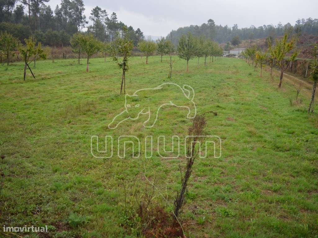 Terreno em Freixo - Grande imagem: 5/6