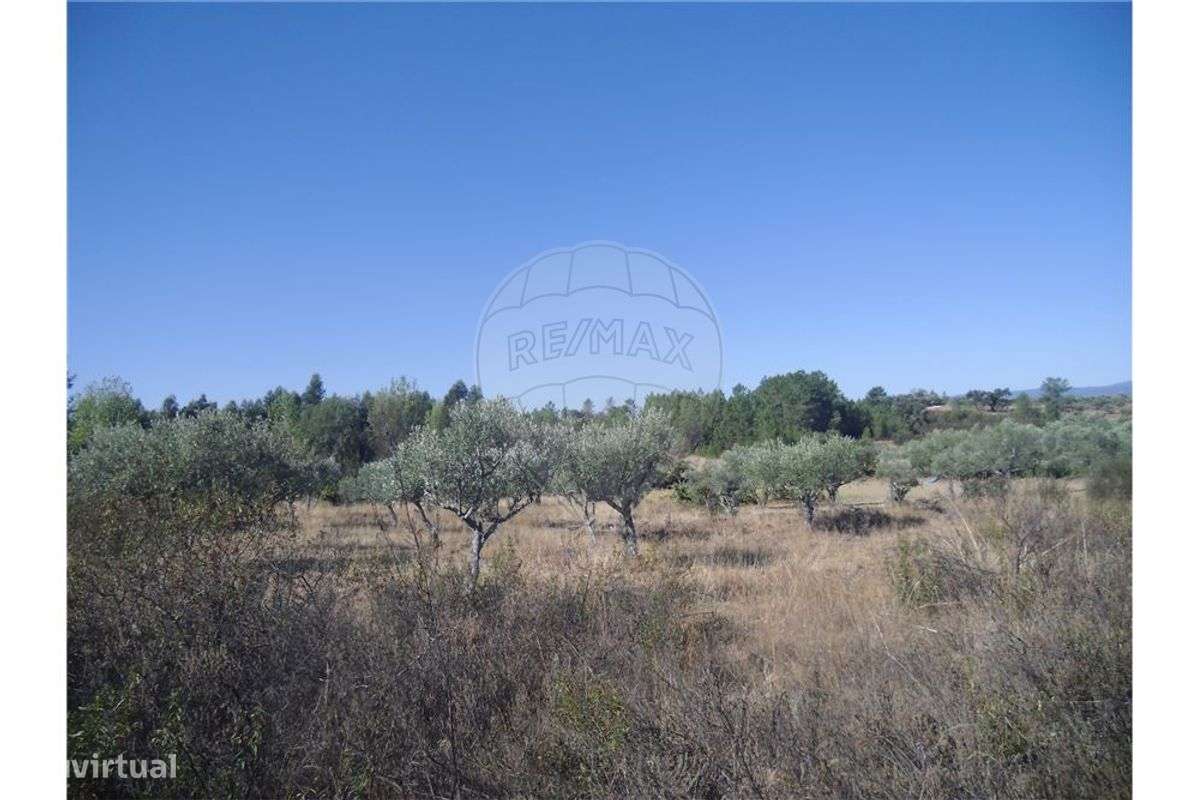 Quinta T0 para venda - Grande imagem: 2/14